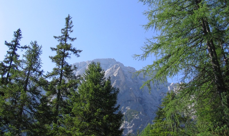 lago di braies 03.jpg