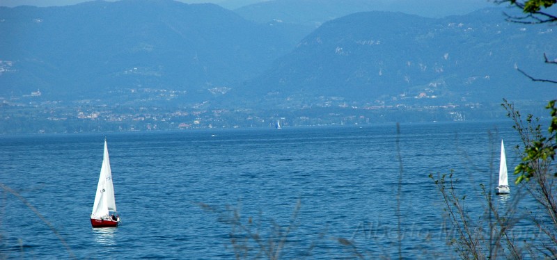 lago di garda - pacengo 01.jpg