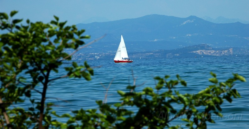 lago di garda - pacengo 02.jpg