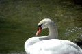 lago di garda - pacengo 03