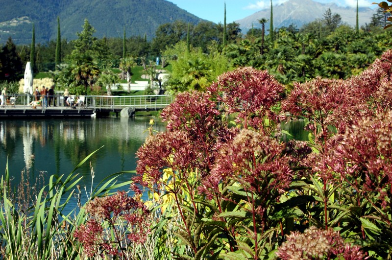 giardini trauttmansdorff merano - 05.jpg
