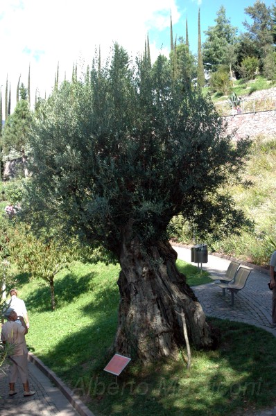 giardini trauttmansdorff merano - 15.jpg