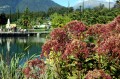 giardini trauttmansdorff merano - 05