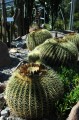 giardini trauttmansdorff merano - 17