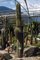giardini trauttmansdorff merano - 18