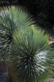 giardini trauttmansdorff merano - 20