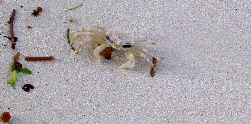 zanzibar 08.jpg