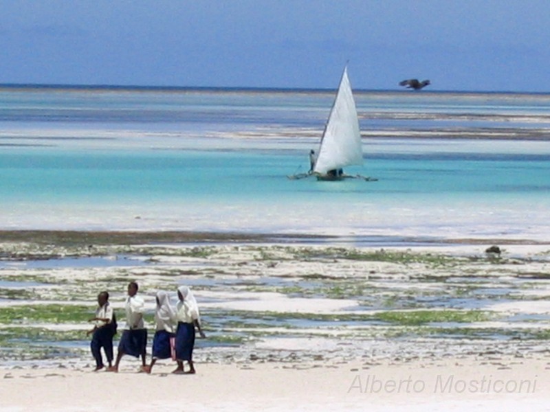 zanzibar 11.jpg