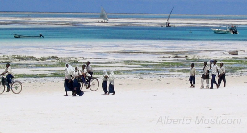 zanzibar 12.jpg