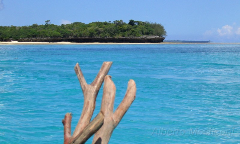 zanzibar 24.jpg